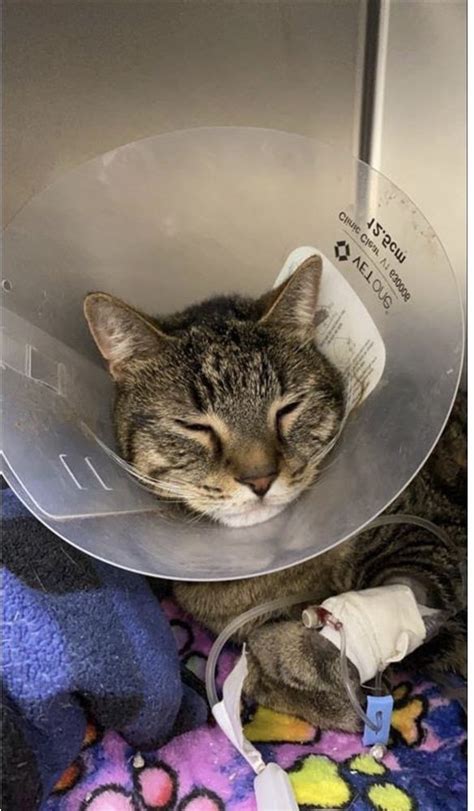 Ocean state vet - Please contact Ocean State Veterinarian Specialists at (401)-886-6787. Location. 31 POST RD. WESTERLY, RHODE ISLAND 02891. Phone (401) 596-0858. Email. info@saltpondsanimalhospital.com. Message Us Your General Questions. Name Phone Email Message Send. Get Directions (401) 596-0858;